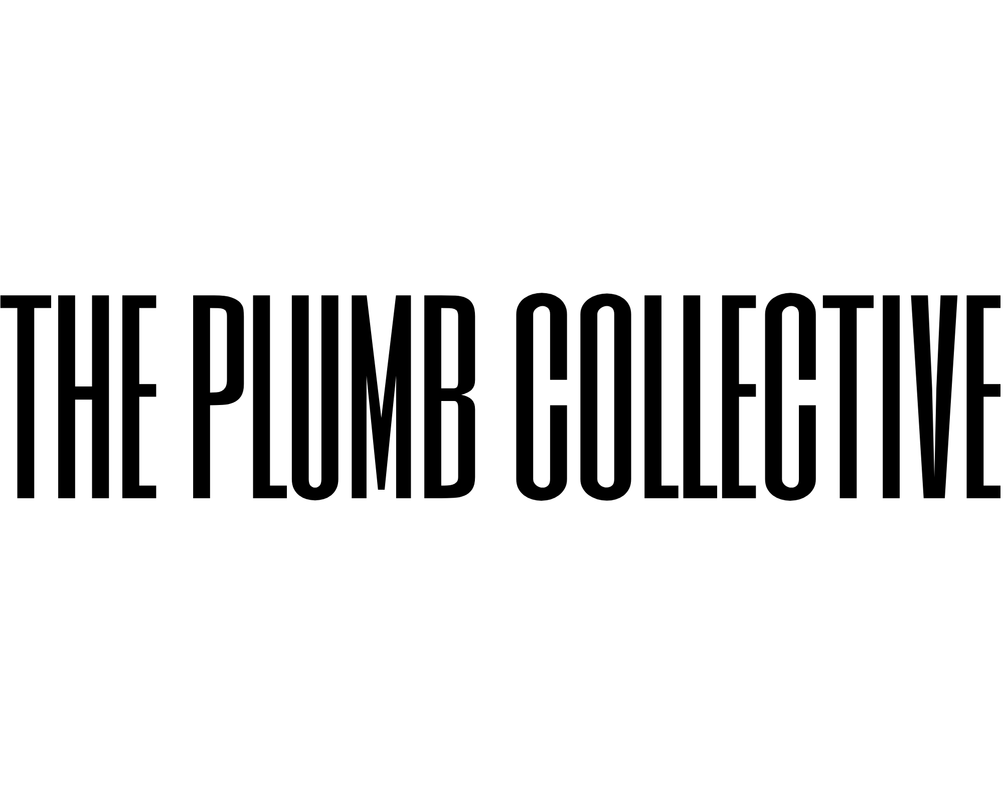 on-the-plumb-line-the-mirror
